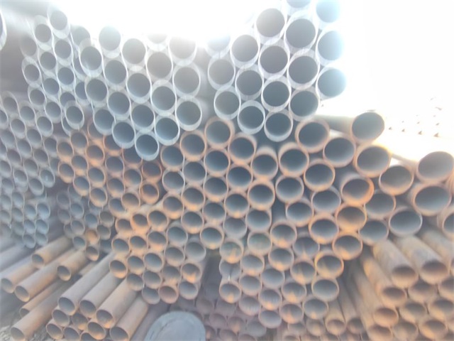 IMG_20230401_153229.jpg IMG_20230401_153229.jpg